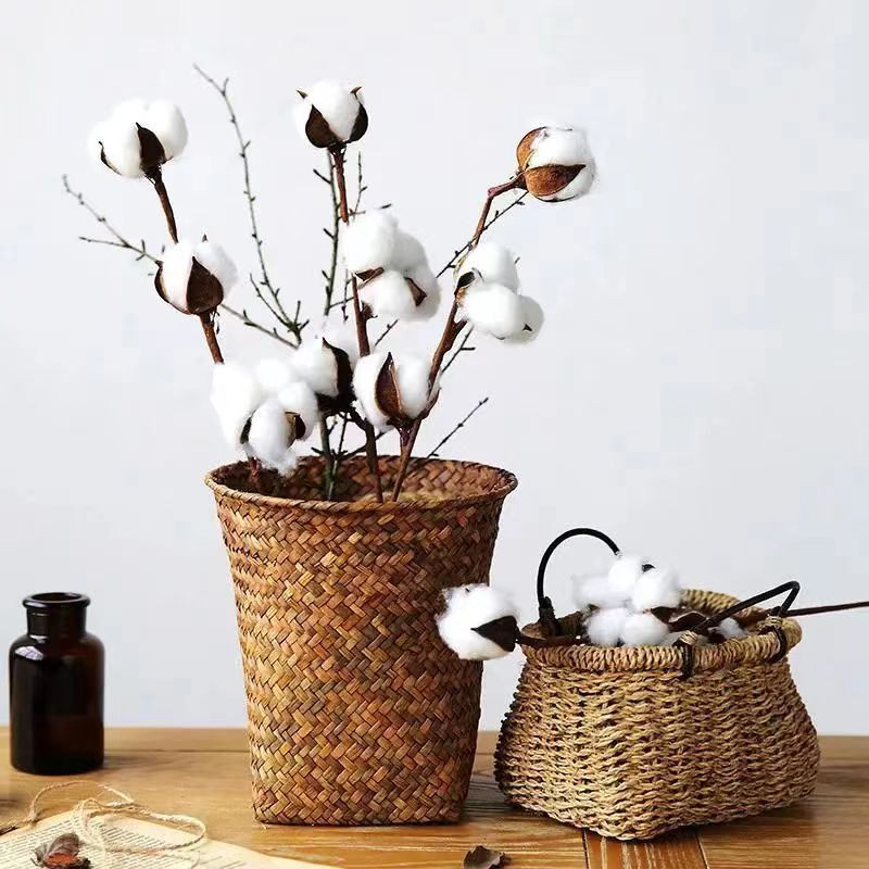 6Introduce natural elements into home decoration, such as branches, dried flowers, autumn leaves, etc.   Arrange them in vases or pots, or use th (4)